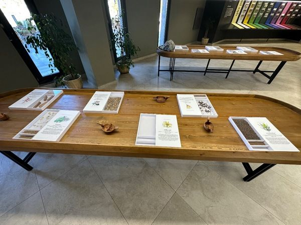 Rayiha Baharat Müzesi